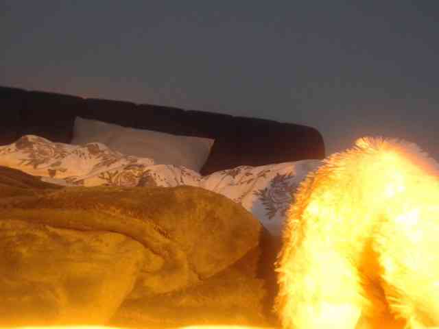 LucyWyild webcam