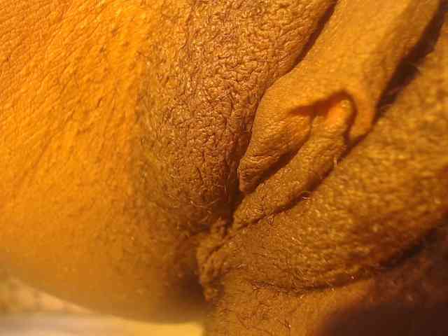 LucyWyild webcam