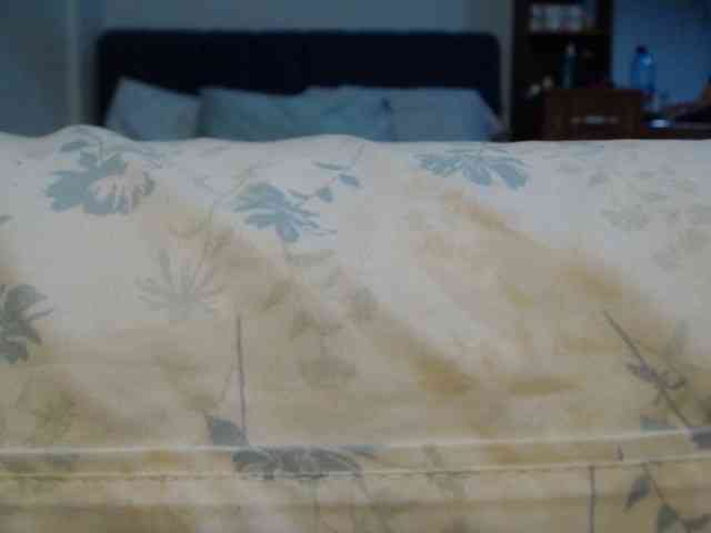 LucyWyild webcam