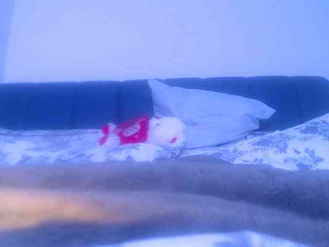 LucyWyild webcam