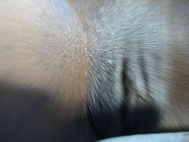 LucyWyild webcam