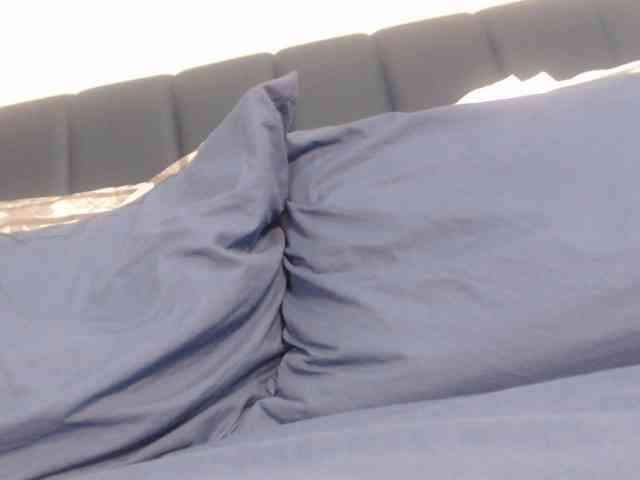 LucyWyild webcam