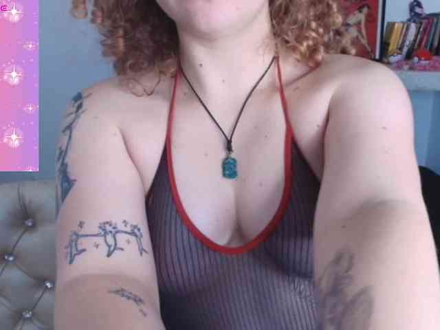 nobara-fox webcam