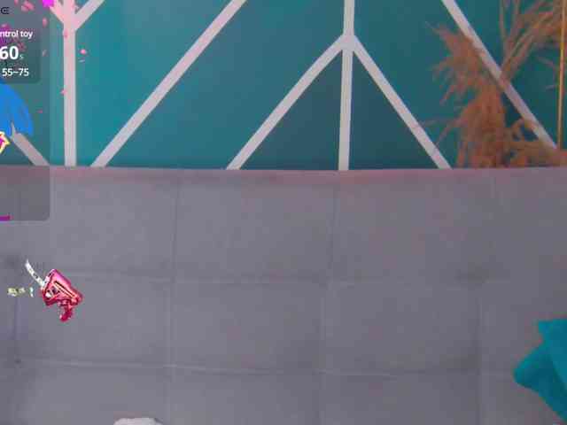 nobara-fox webcam