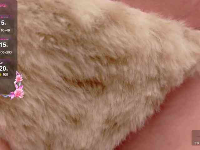 bunnybatters webcam