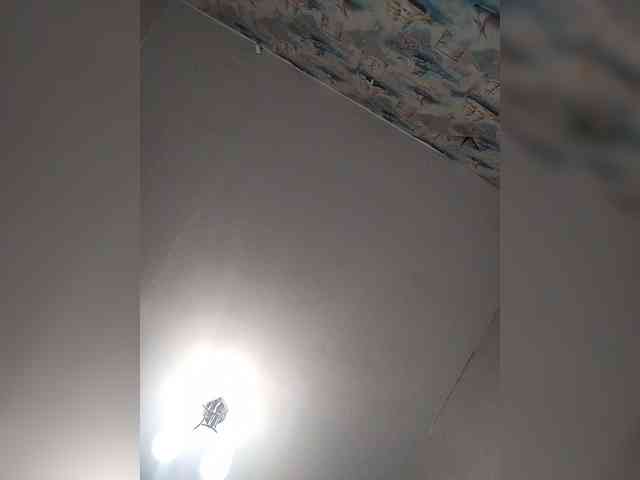 AlenkiyCvetochek webcam