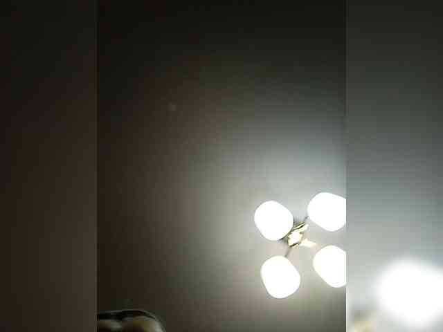 AlenkiyCvetochek webcam