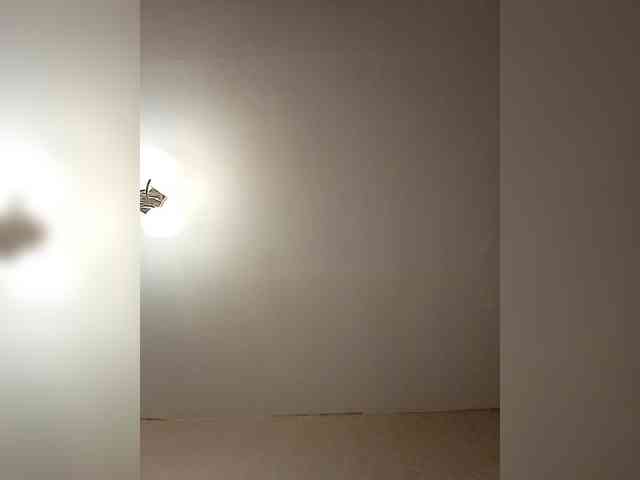 AlenkiyCvetochek webcam