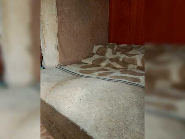 Natulka90 from BongaCams is Freechat