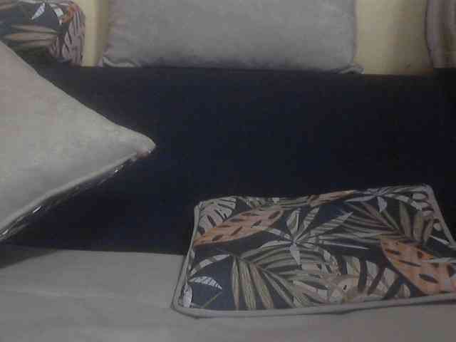 Koushy webcam