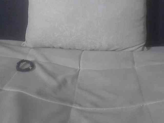 Koushy webcam