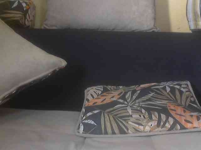 Koushy webcam