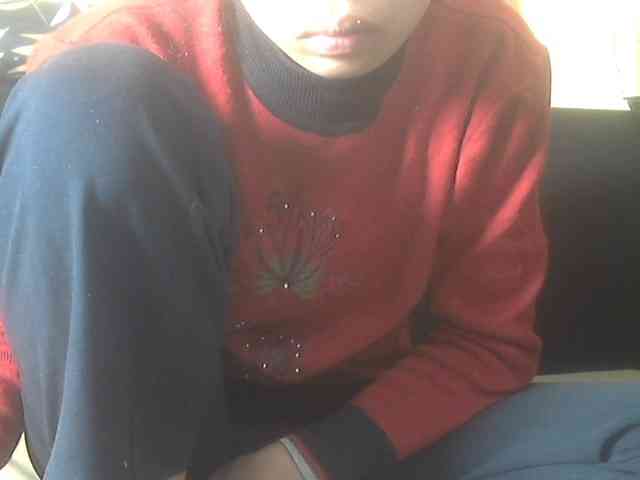 Koushy webcam