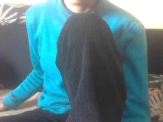 Koushy webcam