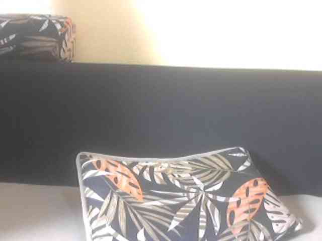 Koushy webcam
