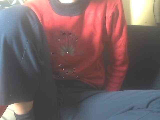 Koushy webcam