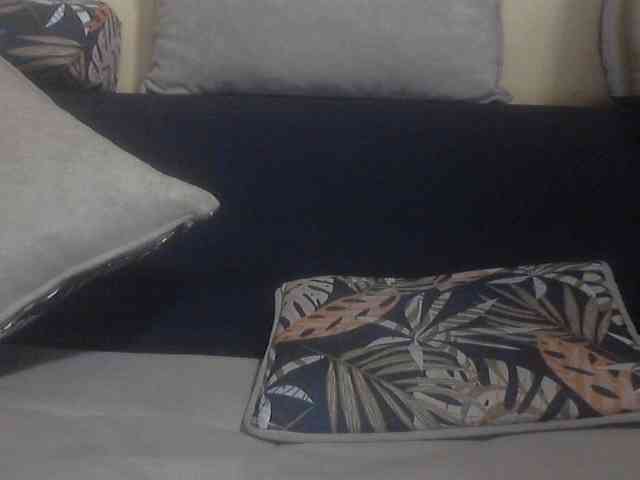 Koushy webcam