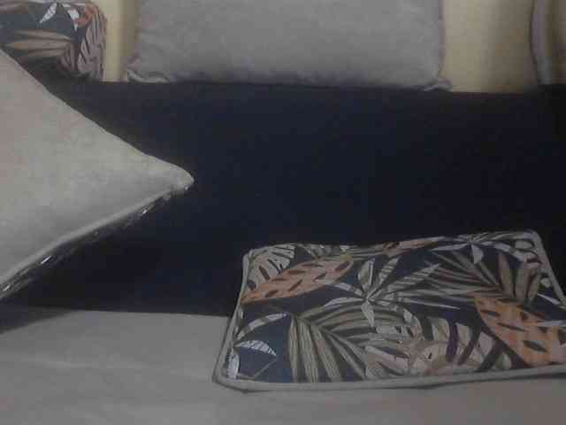 Koushy webcam