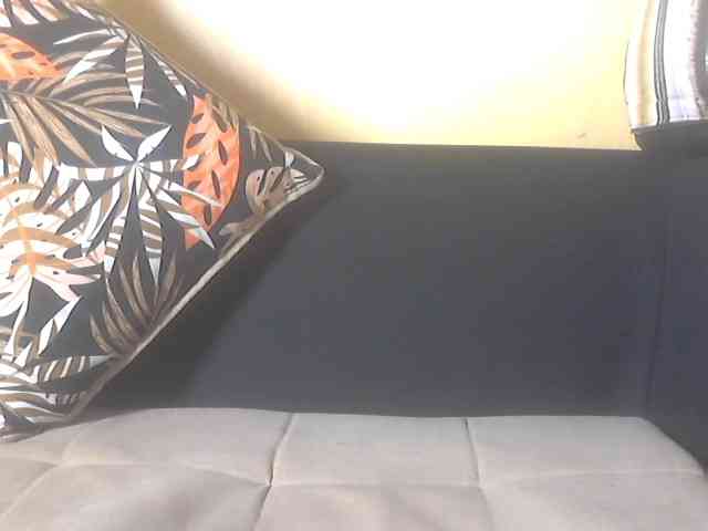 Koushy webcam