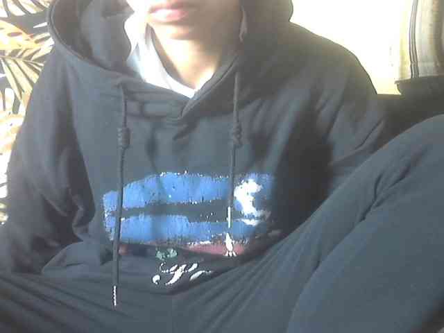 Koushy webcam