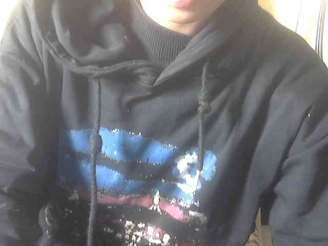 Koushy webcam