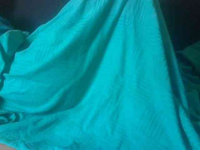 Koushy webcam