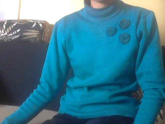 Koushy webcam