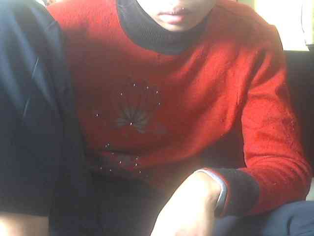 Koushy webcam