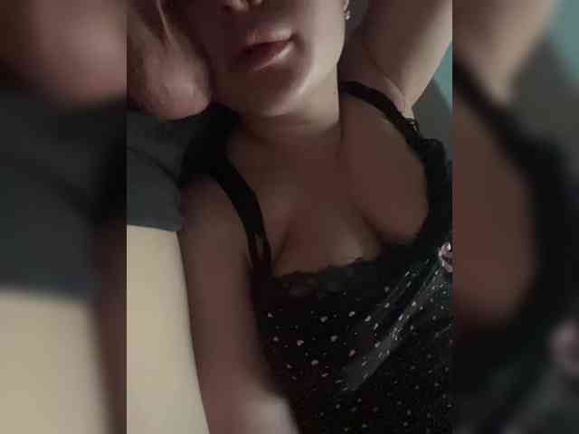 Dashylis webcam