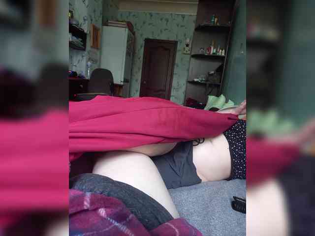 Dashylis webcam