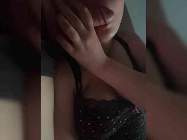 Dashylis webcam