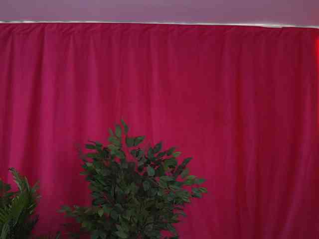 CurlyNatasha webcam