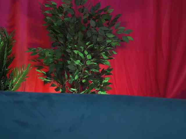 CurlyNatasha Live Webcam on BongaCams