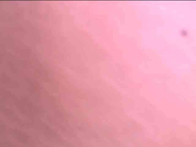 zararose webcam