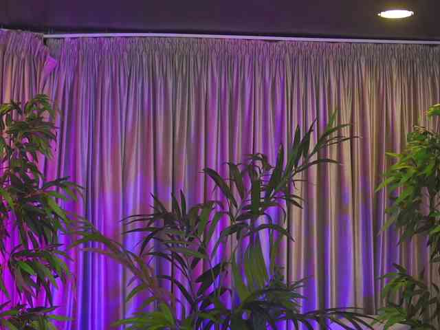 ZennySings webcam