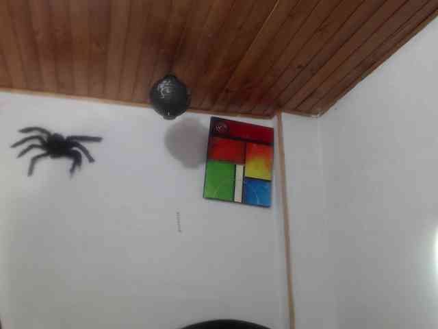 hilari18 webcam