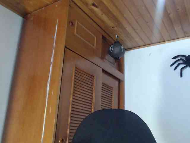hilari18 webcam