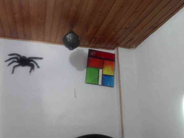 hilari18 webcam