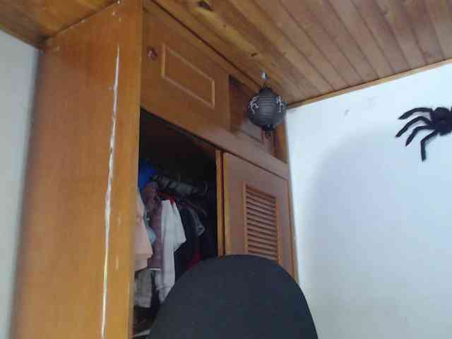hilari18 webcam