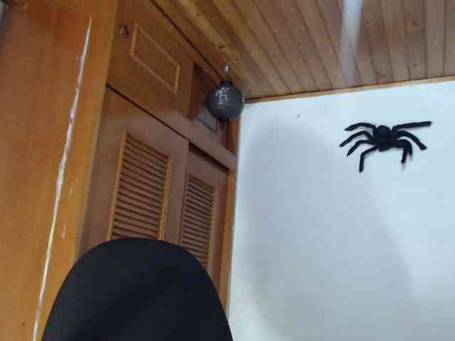 hilari18 webcam