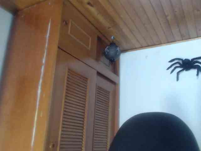 hilari18 webcam
