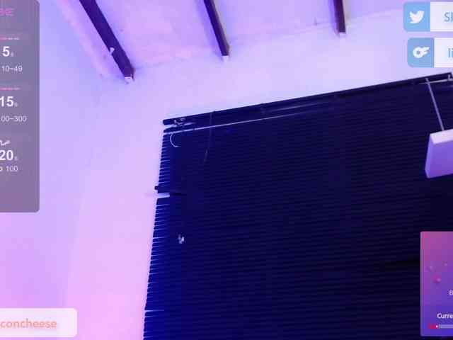 Lilbacon webcam