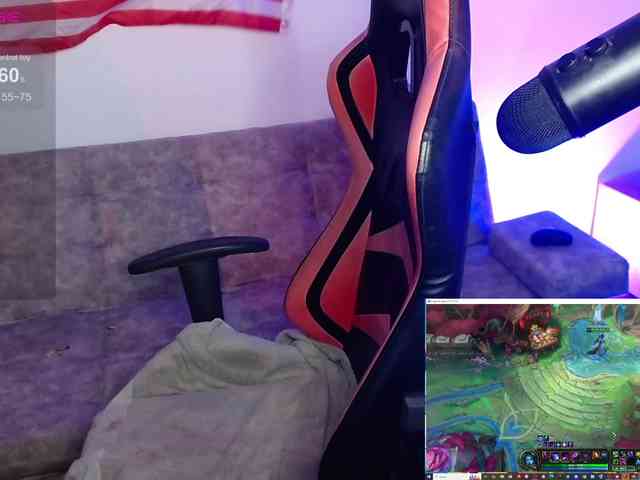 Lilbacon webcam
