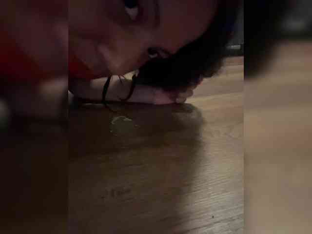 Gysellaa webcam