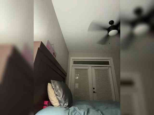 Gysellaa webcam