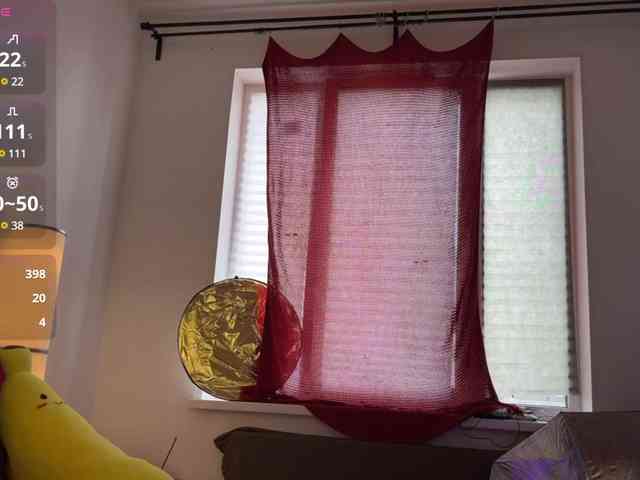 AliceSlim webcam