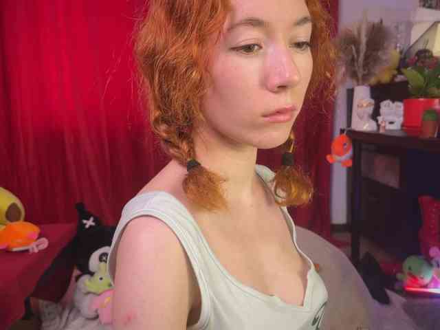 AliceSlim webcam