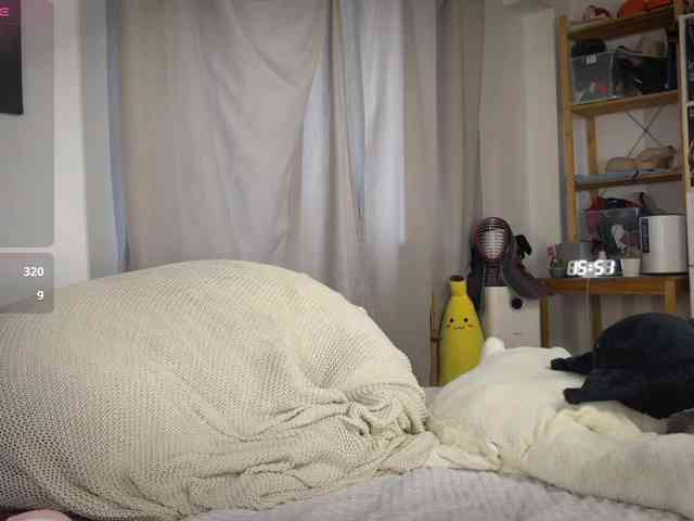 AliceSlim webcam