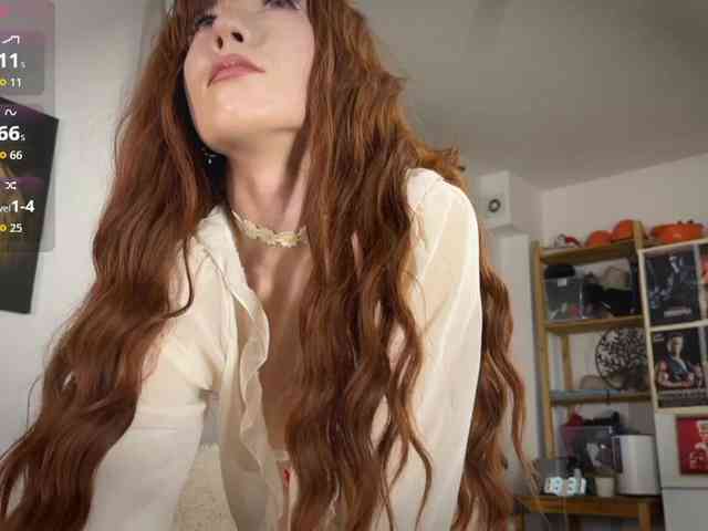 AliceSlim webcam