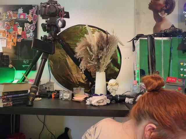 AliceSlim webcam